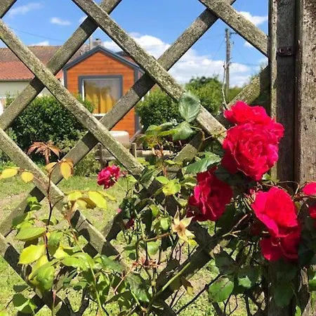 Aux Aromes De Mich Coulogne